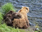 Katmai National Park