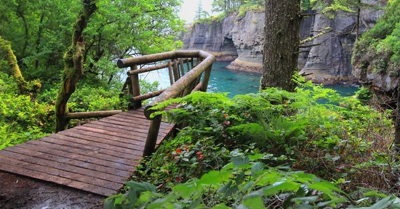 Olympic National Park