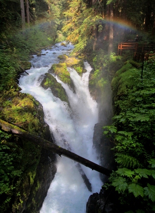 Olympic National Park - Sol Duc Falls
