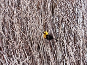 Arapaho National Wildlife Refuge
