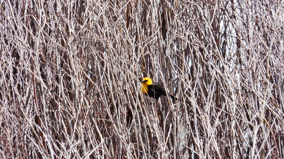 Arapaho National Wildlife Refuge