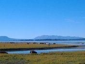Yellowstone Park