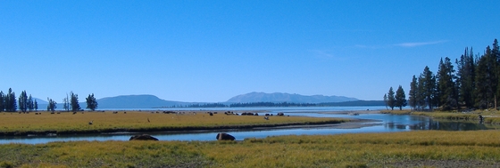 Yellowstone Park