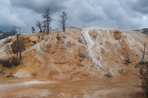 Yellowstone Park