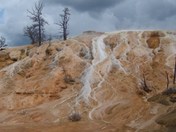 Yellostone National Park