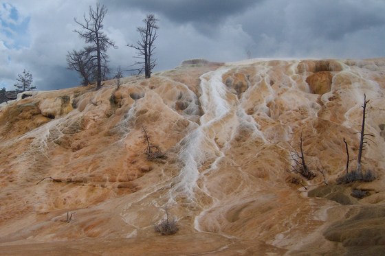 Yellostone National Park