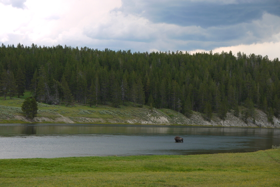 yellowstone national park 