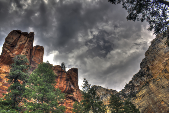 West Fork - Oak Creek Canyon