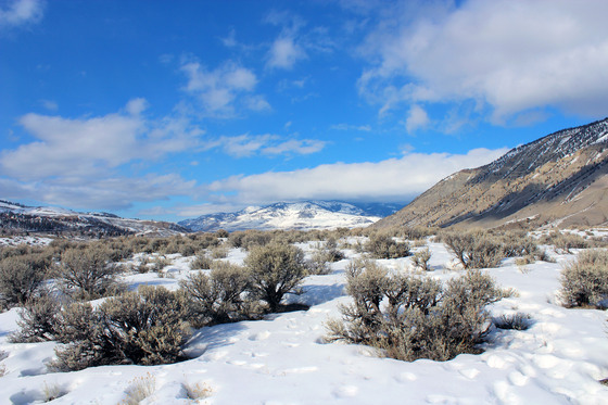 Yellowstone National Park
