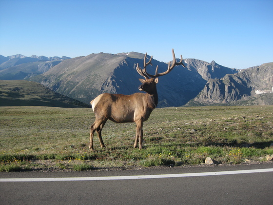 Rocky Mountain National Park