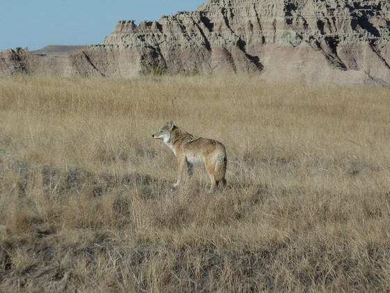 Badlands, South Dakota
