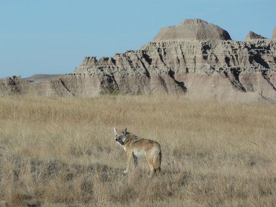 Badlands, South Dakota