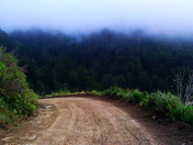 Los Padres National Forest