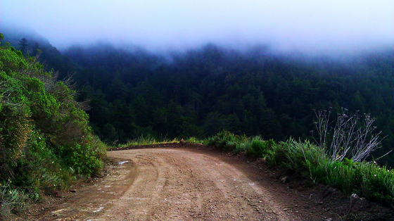 Los Padres National Forest