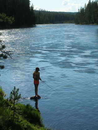 Yellowstone national park