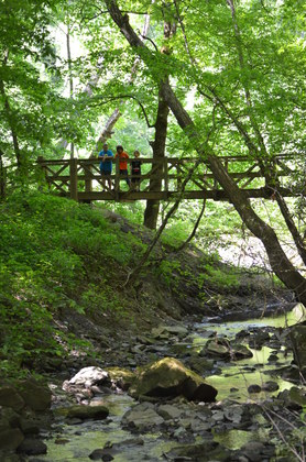 Big South Fork National River and Recreation Area