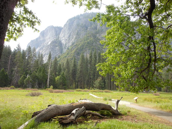 Yosemite