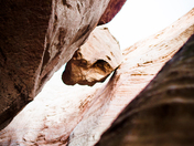 Lake Powell