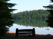 Mt. Hood National Forest
