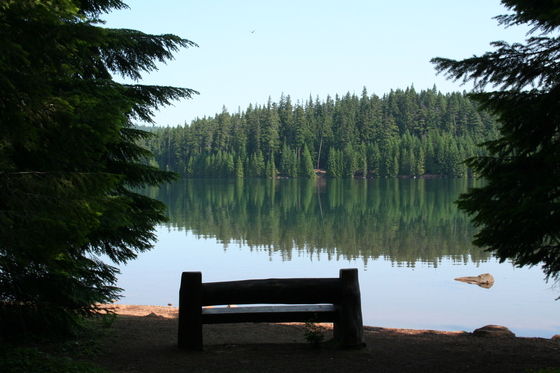 Mt. Hood National Forest