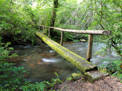 Great Smoky Mountains