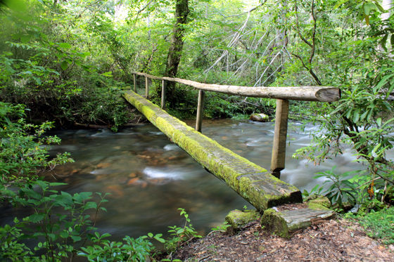 Great Smoky Mountains