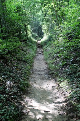 Great Smoky Mountains