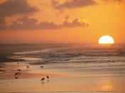Ocracoke Campground