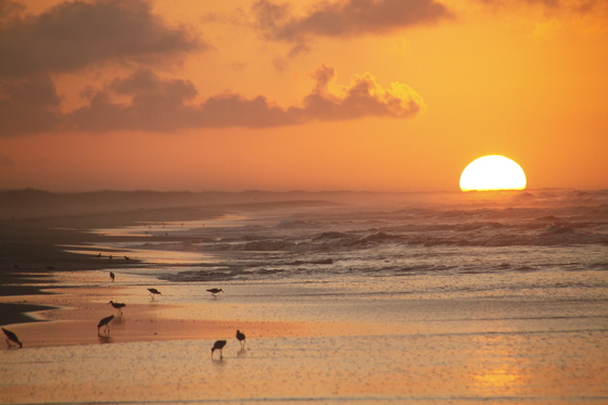 Ocracoke Campground