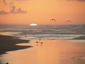 Ocracoke Campground