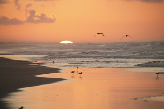 Ocracoke Campground