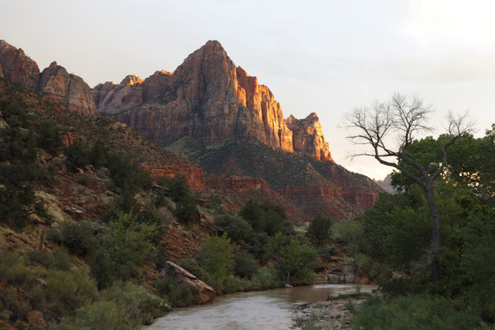 Zion National Park