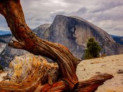 Yosemite National Park