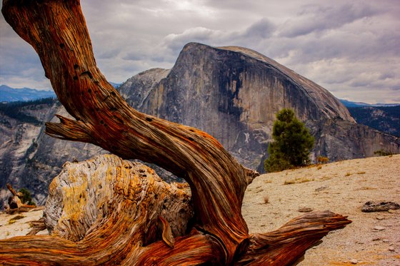 Yosemite National Park