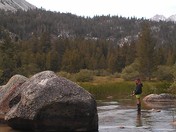 East Fork Campground- Inyo County, California