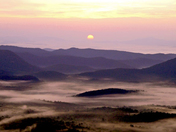 Pisgah National Forest
