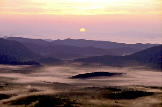 Pisgah National Forest