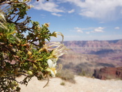 Grand Canyon North Rim