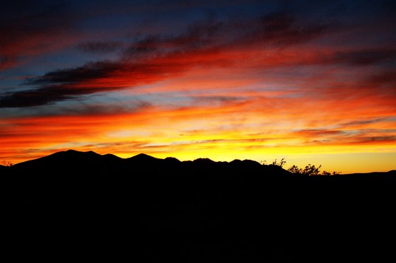 ARMAGOSA,NV