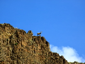 John Day River
