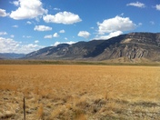 Shoshone National Forest
