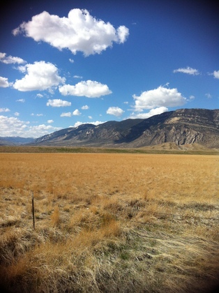 Shoshone National Forest