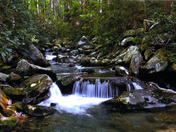Great Smoky Mountains National Park