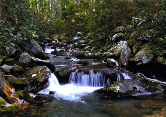 Great Smoky Mountains National Park