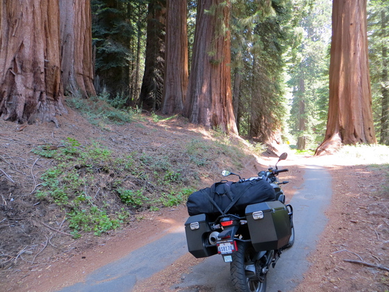 Giant Sequoia National Monument