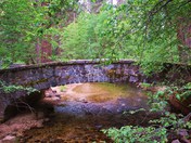 Yosemite National Park