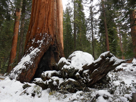 Kings Canyon National Park