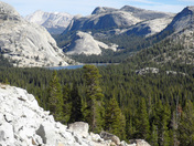 Yosemite  Tenaya Lake