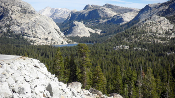 Yosemite  Tenaya Lake
