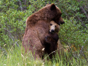 Katmai National Park